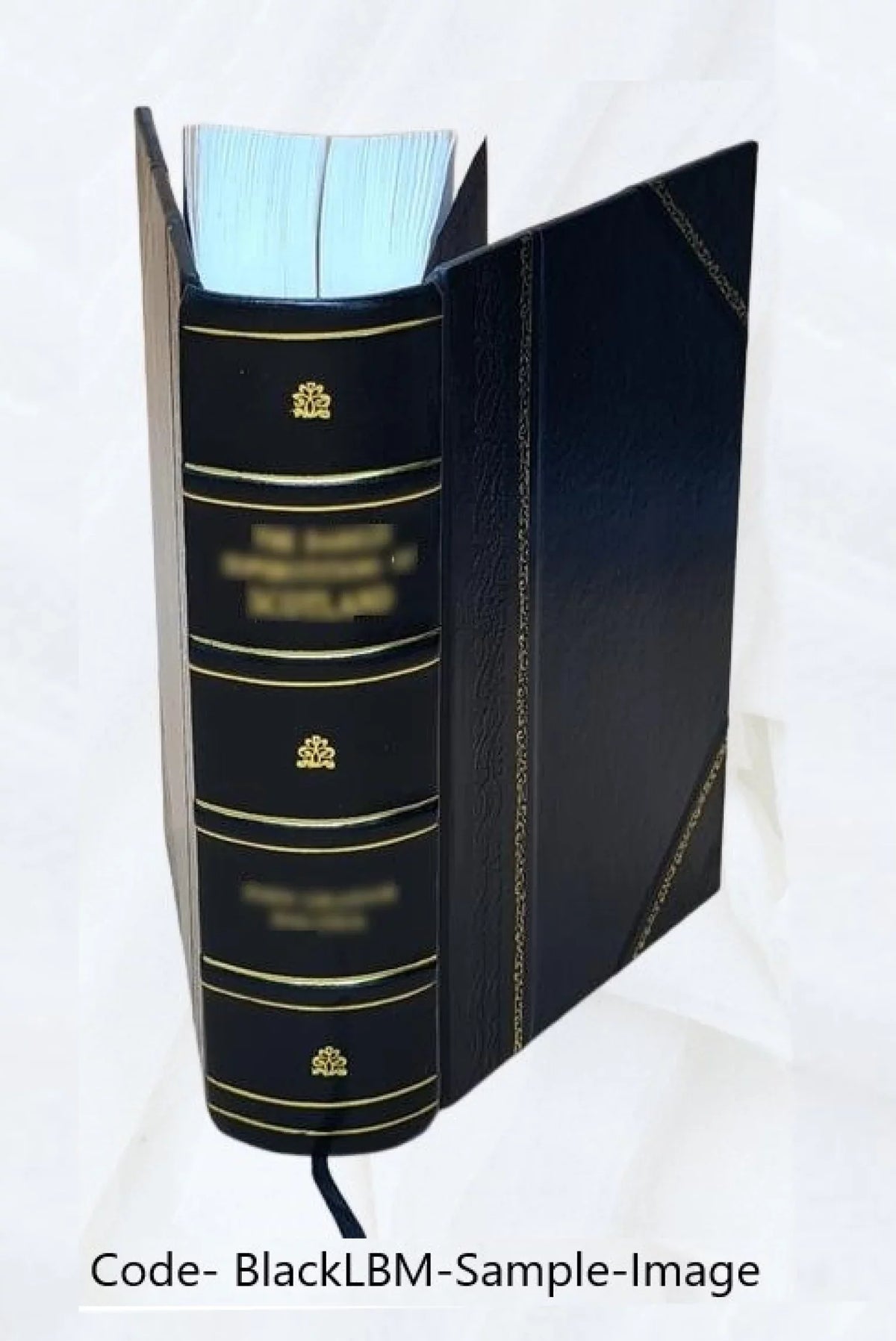 1564 [Leather Bound]. Scholia Pauli Manutii. De claris oratoribus. De optimo genere oratorum. Ciceronis De oratore libri 3