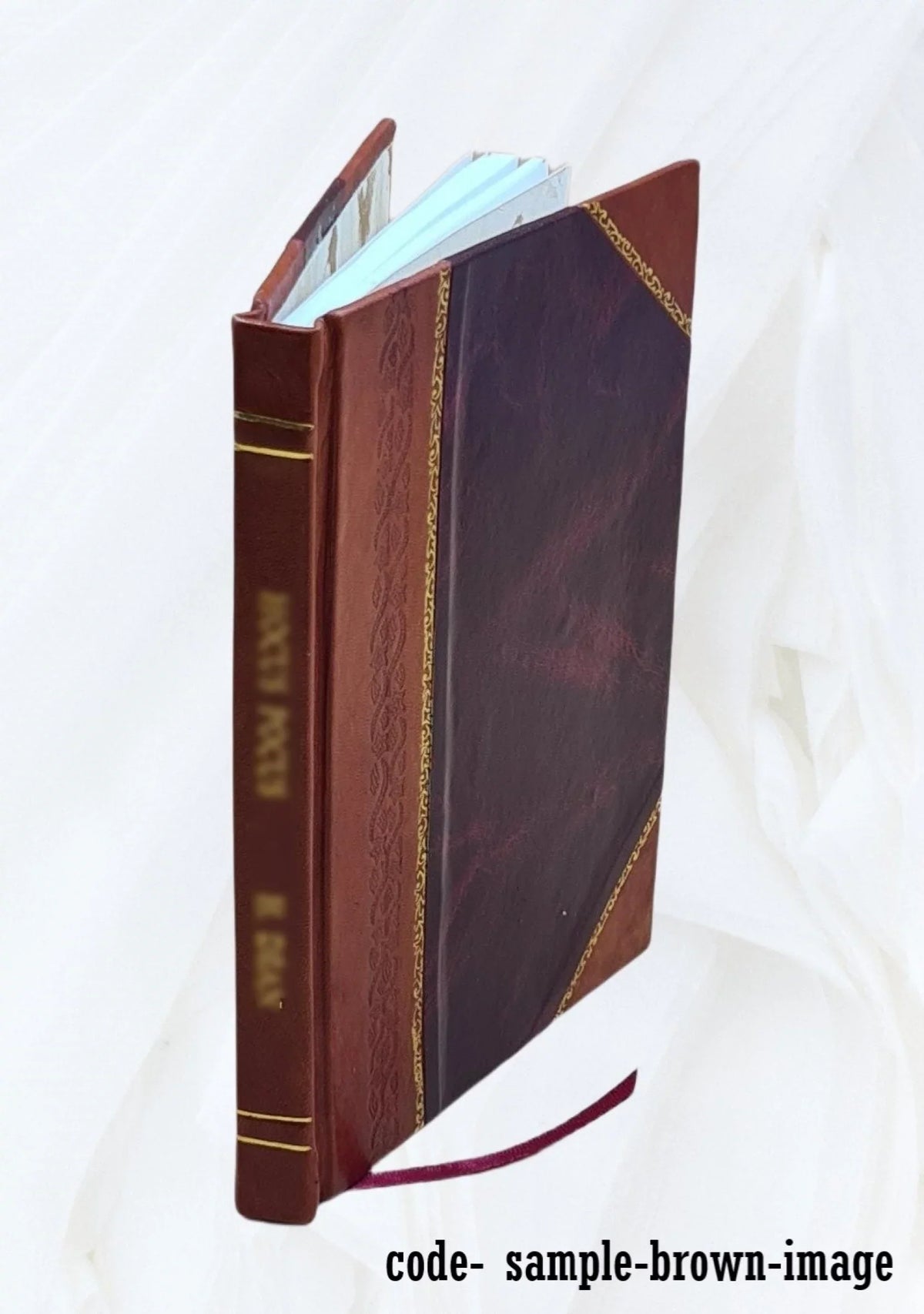 Alessandro Tassinari 1840 [Leather. Valeriano Luigi Brera corredata di illustrazioni per cura del dott. consigliere prof. R. Raccolta delle cose lette e scritte alla memoria 'I