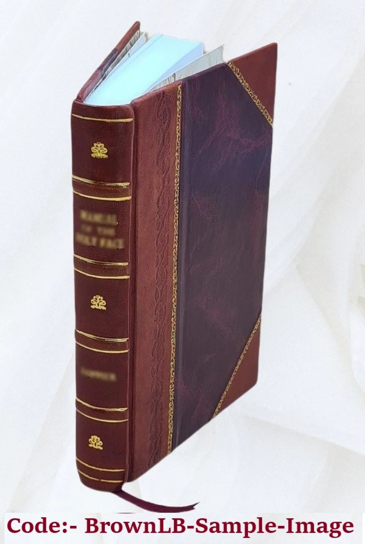 Orion 1863 [Leather Bound]