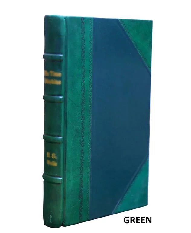 Volume v.4 1994 [LEATHER BOUND]. San Lorenzo River, California : feasibility study