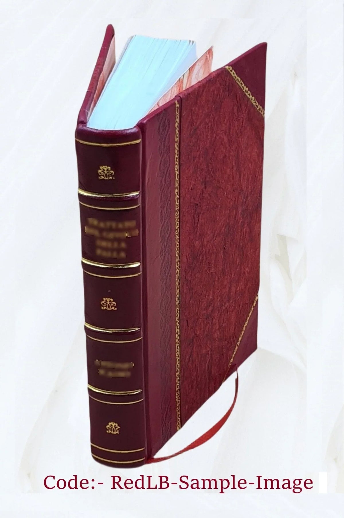 Monographs of the Central Parts of the Nebulae of the Orion 1882 [Leather Bound]
